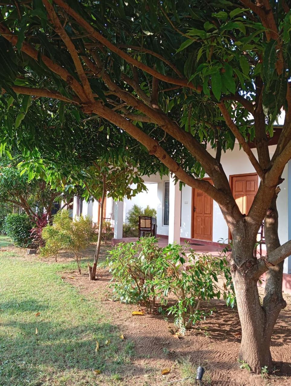 Jeys Place Nilaveli Esterno foto