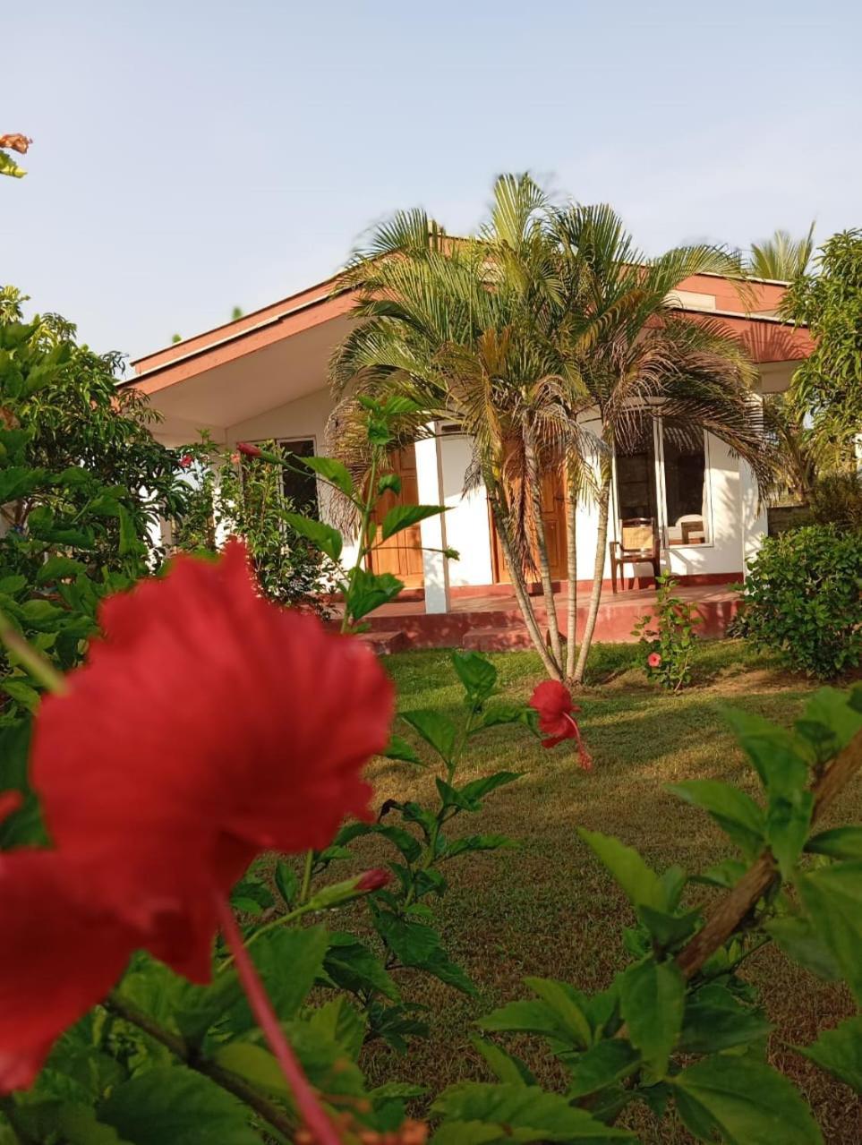 Jeys Place Nilaveli Esterno foto