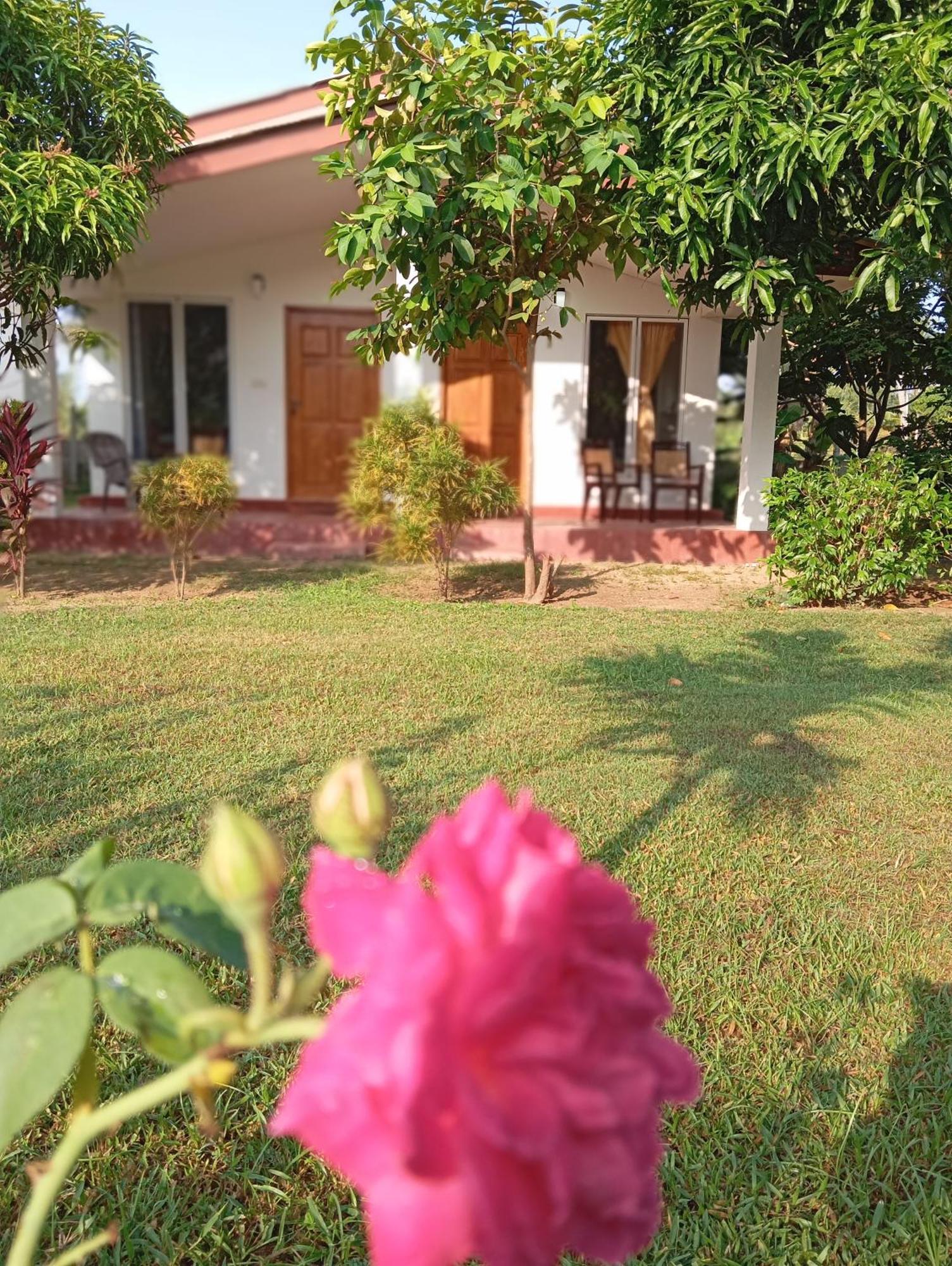 Jeys Place Nilaveli Esterno foto
